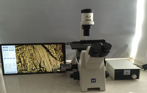 Το Trinocular ανέστρεψε το βιολογικό μικροσκόπιο για την ερευνητική κυτταροκαλλιέργεια
