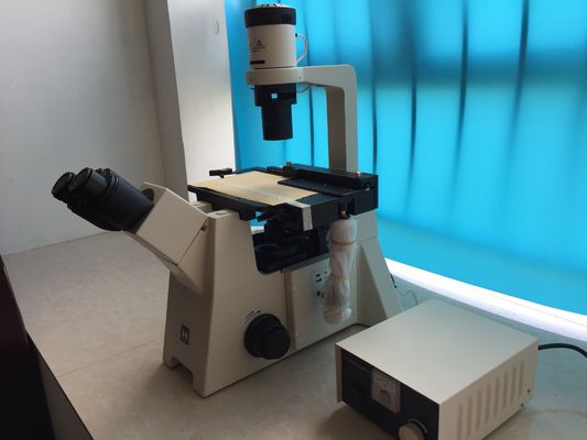 Το Trinocular ανέστρεψε το βιολογικό μικροσκόπιο για την ερευνητική κυτταροκαλλιέργεια