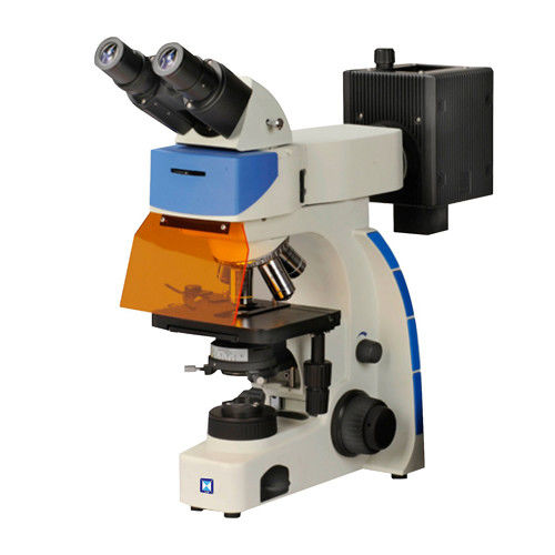 Διοφθαλμικό όρθιο μικροσκόπιο εάν-202 φθορισμού