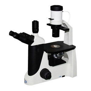 Η χειρωνακτική ρουτίνα ανέστρεψε το βιολογικό μικροσκόπιο με φάση-constrast-συγχρονίζει 20X (κίνημα απελευθέρωσης-302)